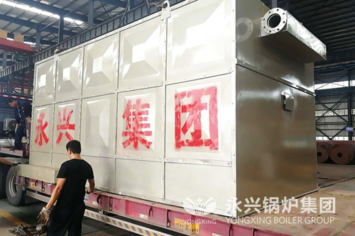 [山东菏泽]山东鄄城南港化工有限公司120万大卡导热油炉