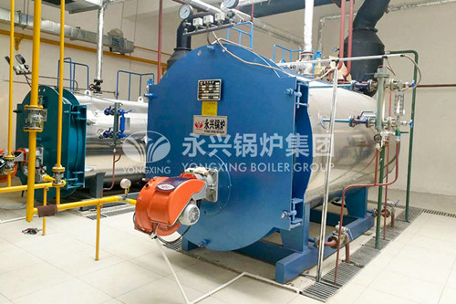 [辽宁大连]天成沐歌温泉水上休闲乐园2吨蒸汽锅炉