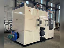 D级生物质蒸汽发生器