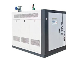 D级低氮30mg锅炉